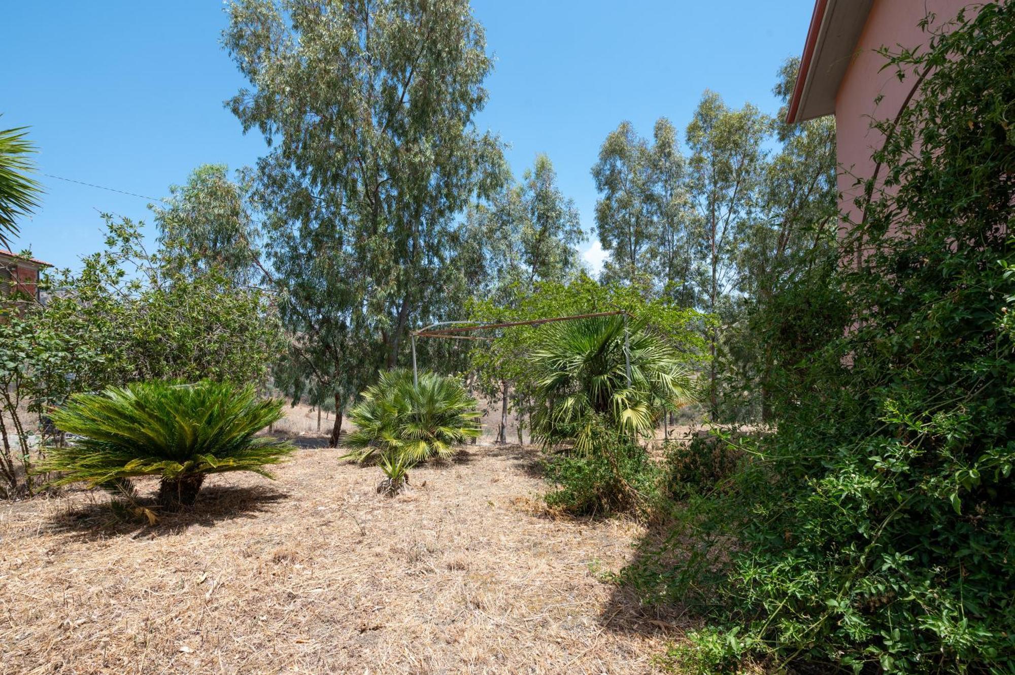 Villa Filippa Nicosia Zewnętrze zdjęcie